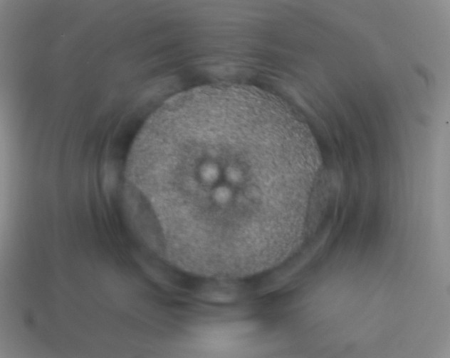 X0000115070671200911101304