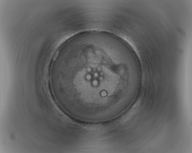 X0000115070673200911101303