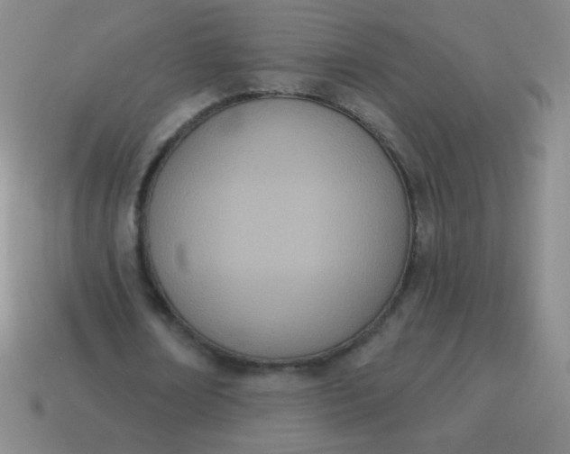 X0000115070674200911101303