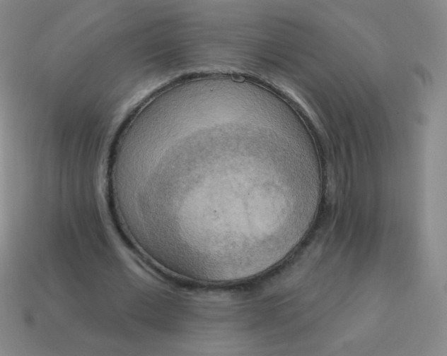 X0000115070677200911101303