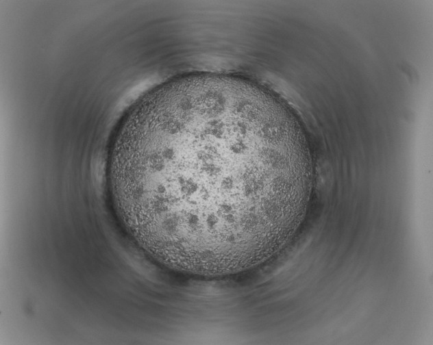 X0000115070679200911101303