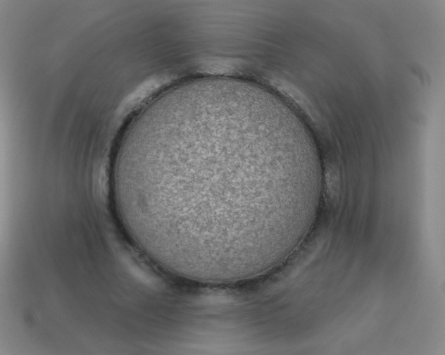 X0000115070682200911101303