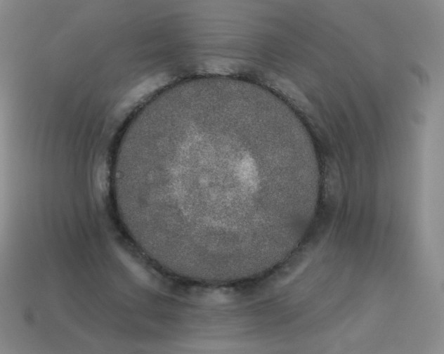 X0000115070683200911101303