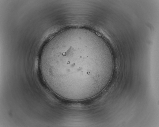 X0000115070685200911101303