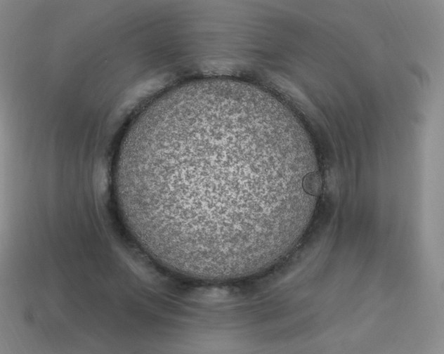 X0000115070687200911101303