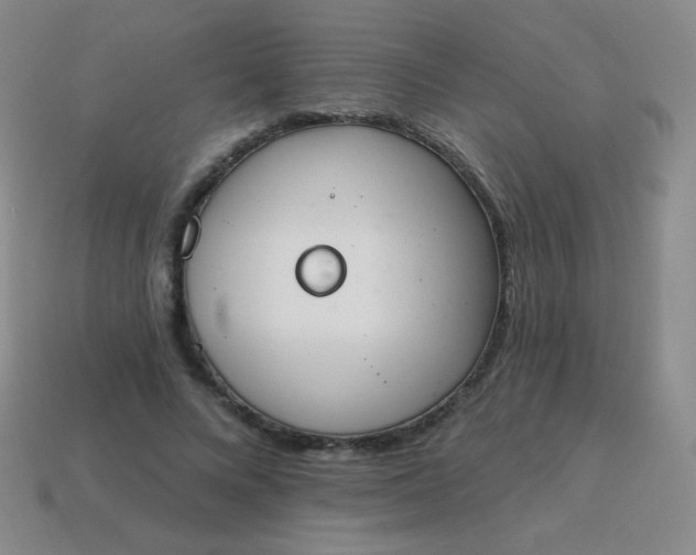 X0000115070688200911101303