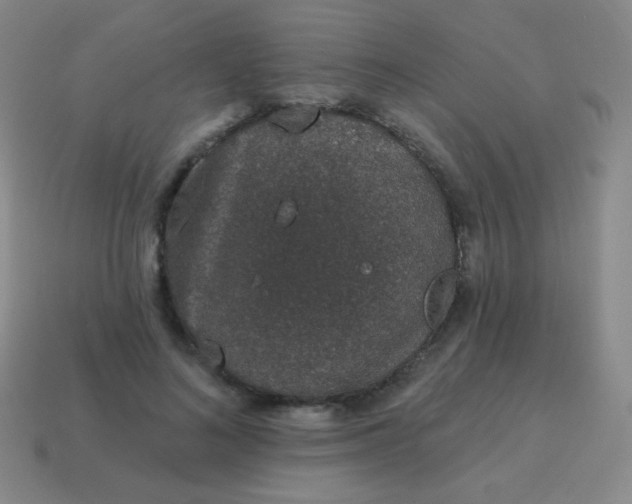 X0000115070692200911101303