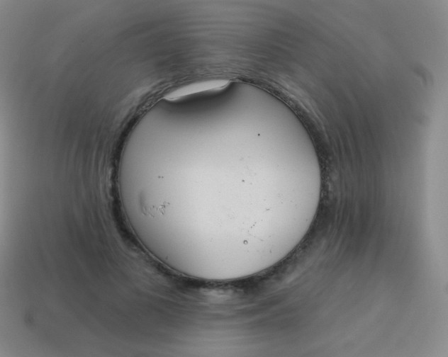 X0000115070693200911101303