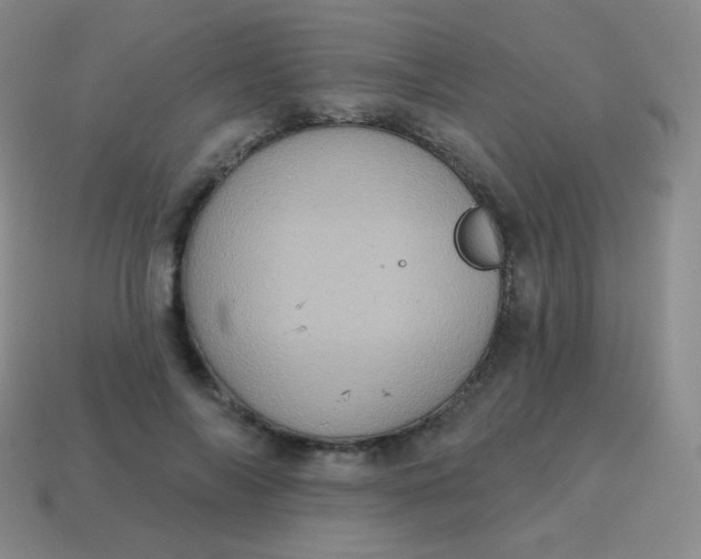 X0000115070694200911101303