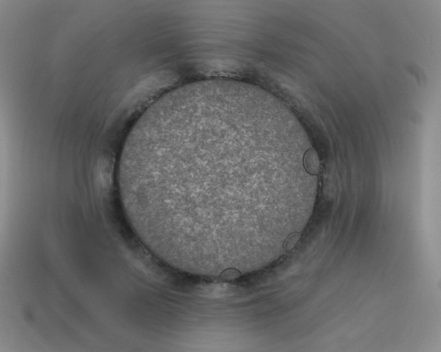 X0000115070695200911101303