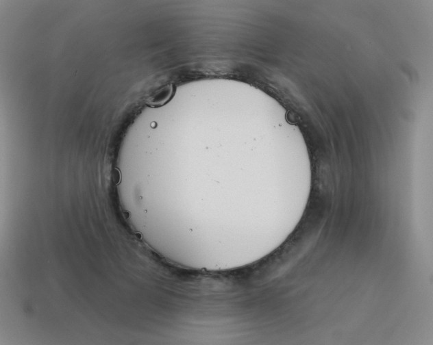 X0000115070697200911101303