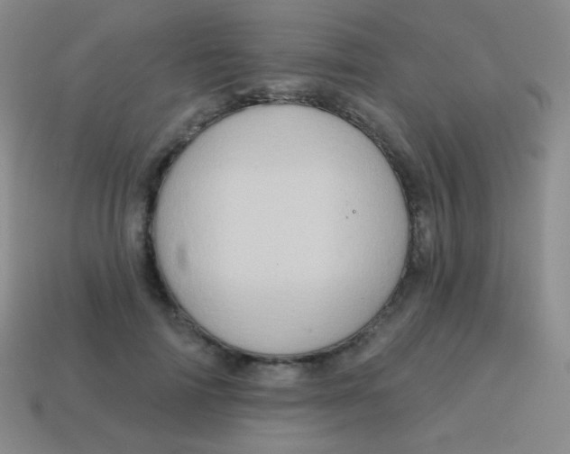 X0000115070698200911101303