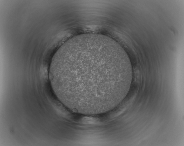 X0000115070699200911101303