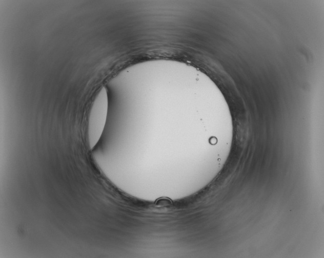 X0000115070701200911101303