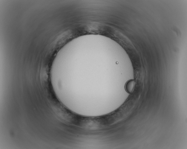 X0000115070702200911101303