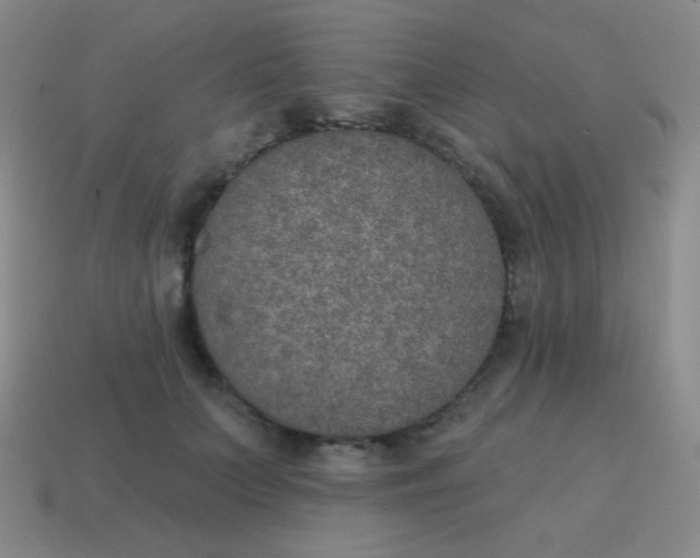 X0000115070703200911101303