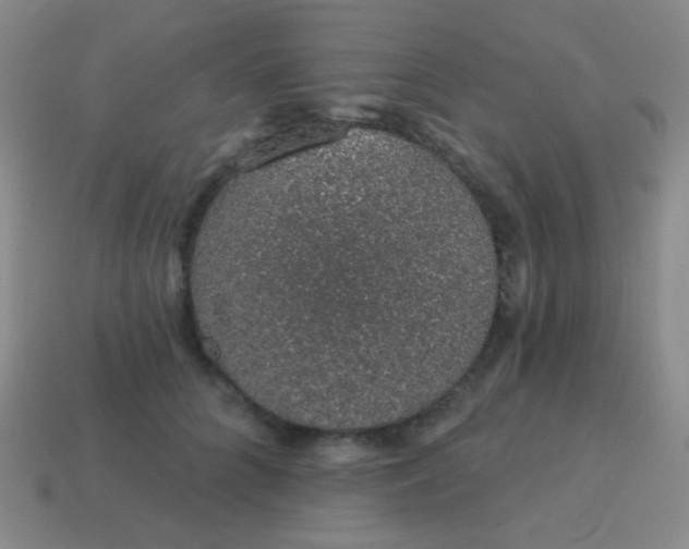X0000115070704200911101303