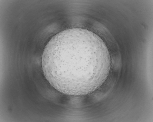 X0000115070705200911101303