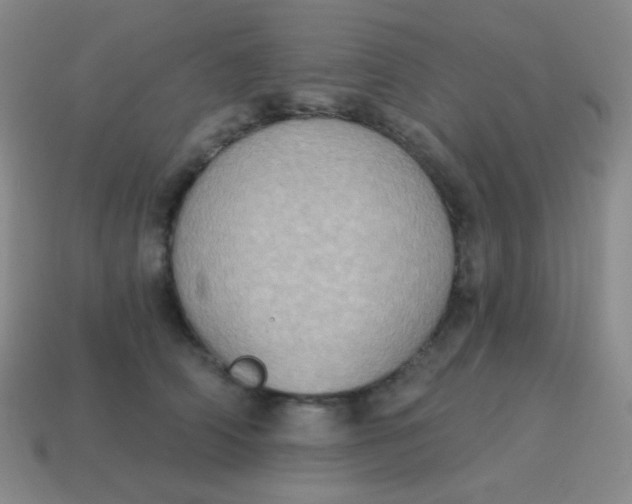 X0000115070706200911101303