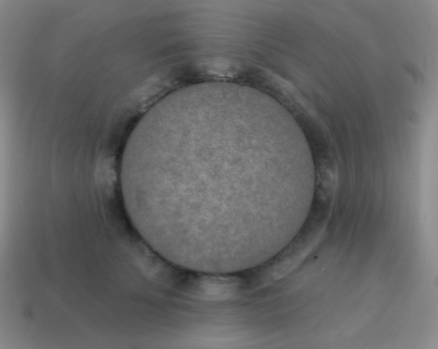 X0000115070707200911101303