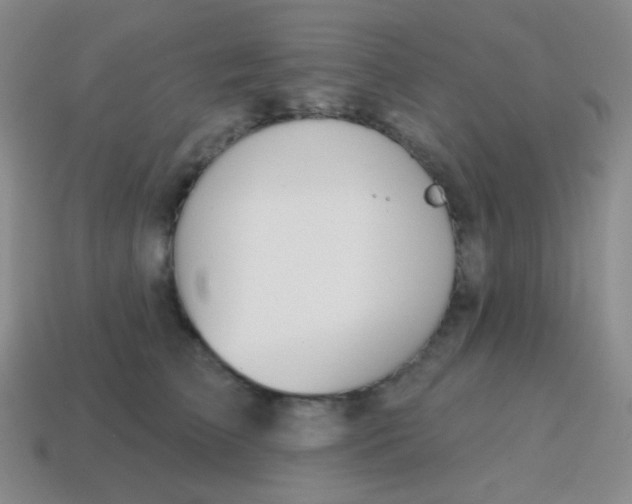 X0000115070709200911101303