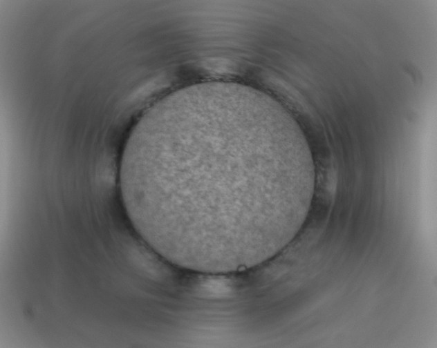 X0000115070710200911101303