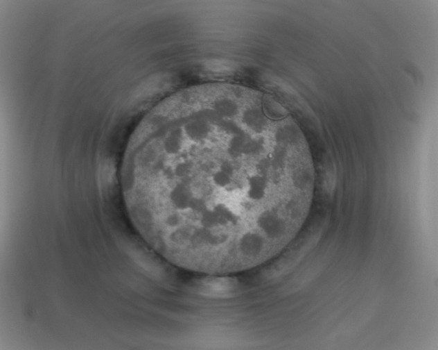 X0000115070711200911101303