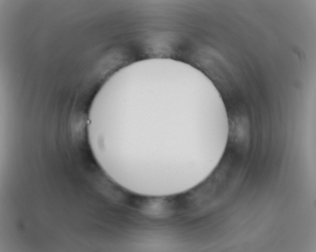 X0000115070717200911101303