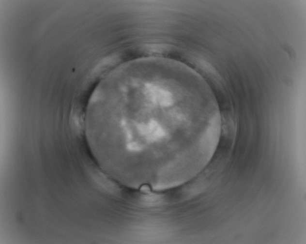 X0000115070718200911101302