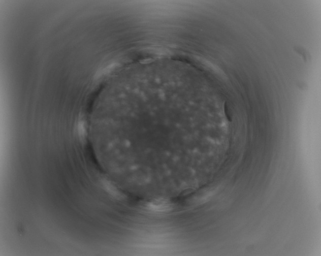 X0000115070720200911101302