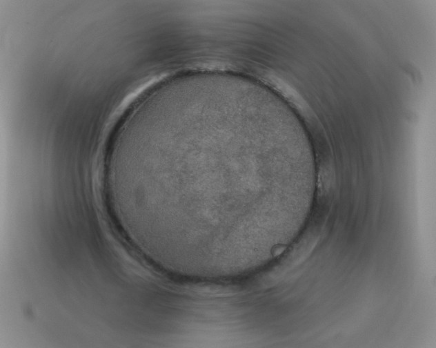X0000115070722200911101302