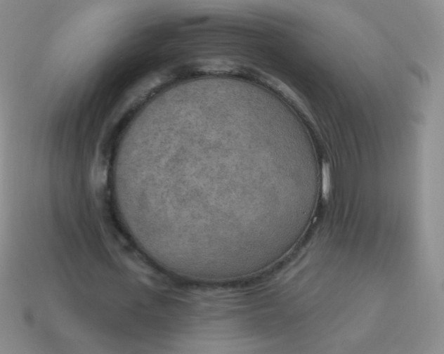 X0000115070723200911101302