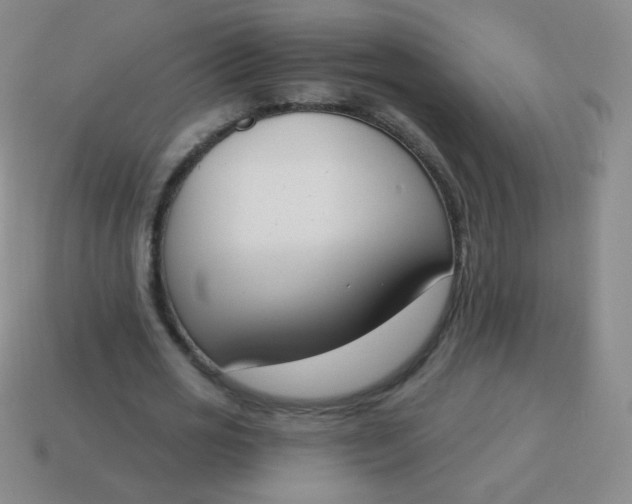 X0000115070725200911101302