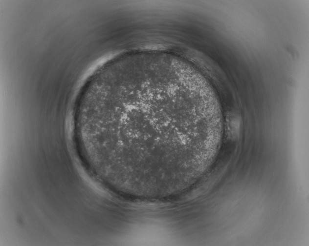 X0000115070726200911101302
