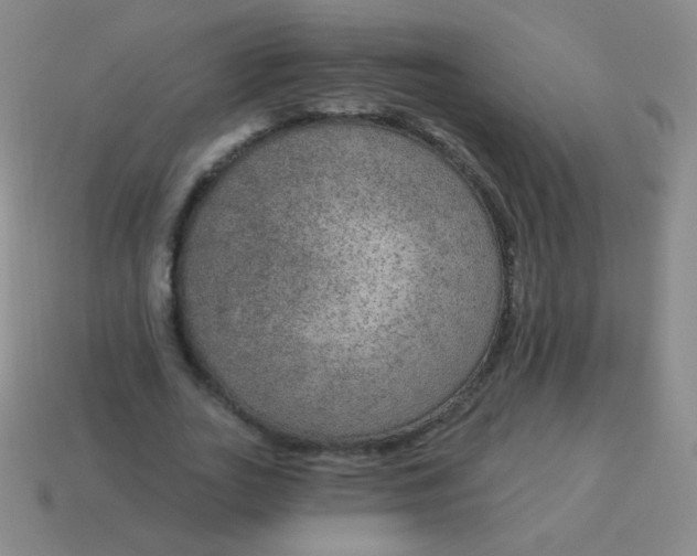 X0000115070727200911101302