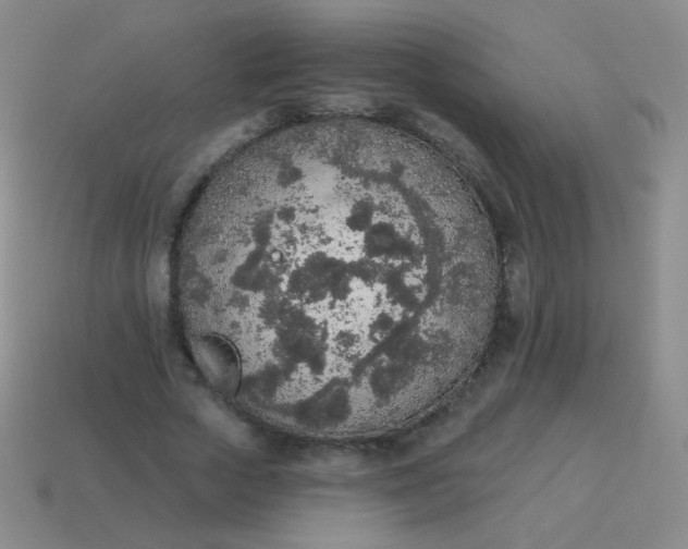X0000115070729200911101302