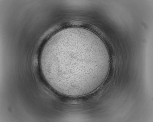 X0000115070731200911101302