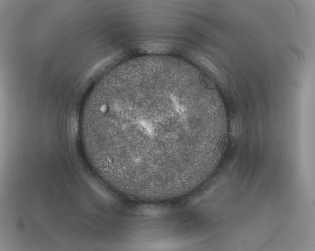 X0000115070733200911101302