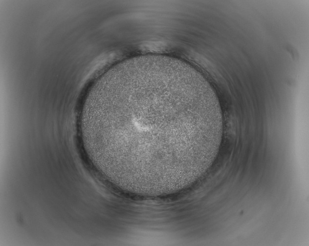 X0000115070738200911101302