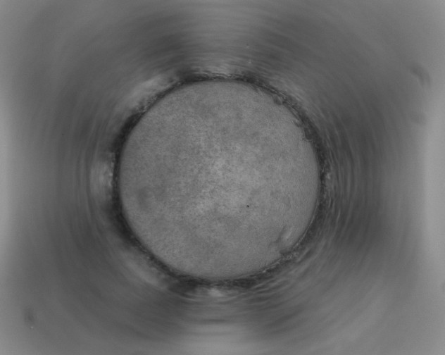 X0000115070739200911101302
