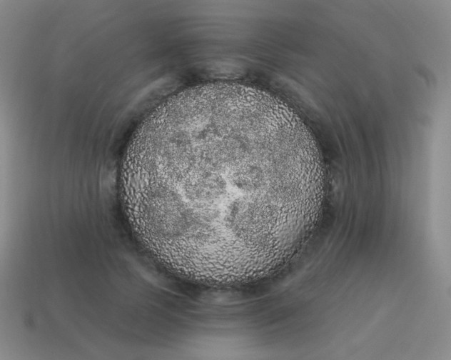 X0000115070745200911101302
