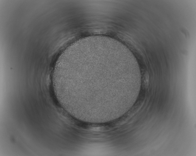 X0000115070746200911101302