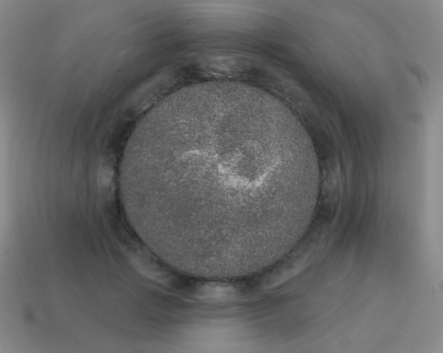 X0000115070749200911101302