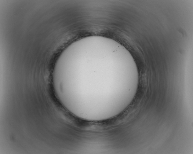 X0000115070750200911101302