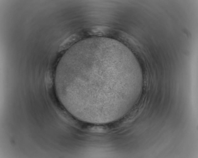 X0000115070751200911101302
