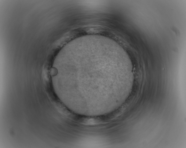 X0000115070755200911101302