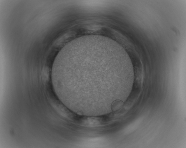 X0000115070758200911101302