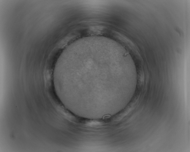 X0000115070759200911101302
