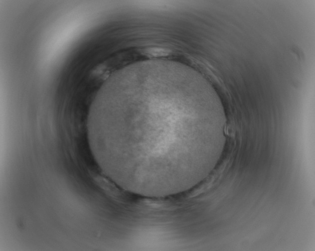 X0000115070763200911101302