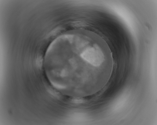 X0000115070767200911101302
